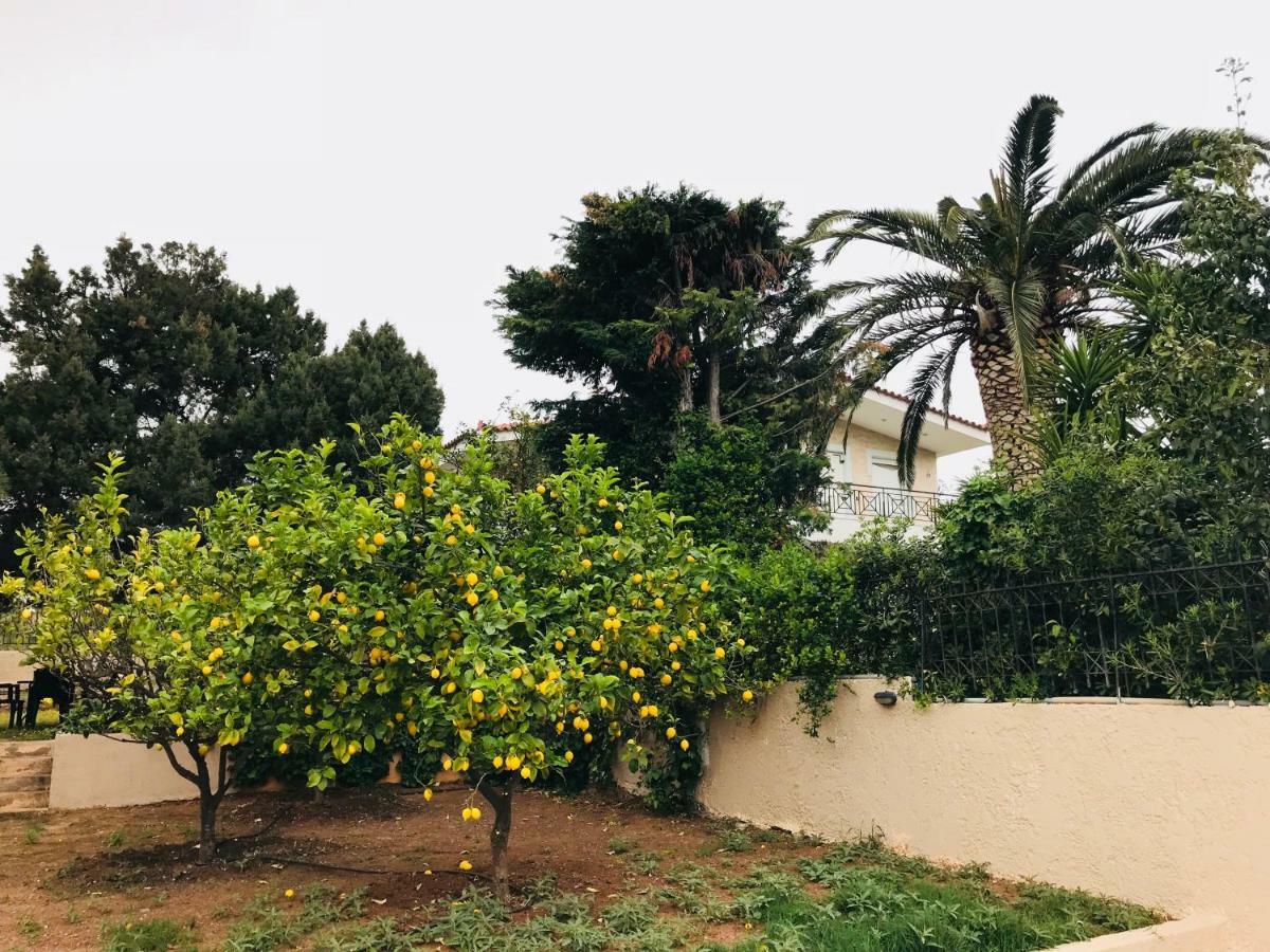 Athenian Riviera Family House Villa Palaiá Fókaia Eksteriør bilde