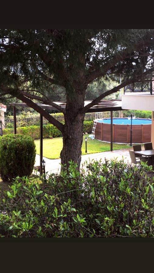 Athenian Riviera Family House Villa Palaiá Fókaia Eksteriør bilde